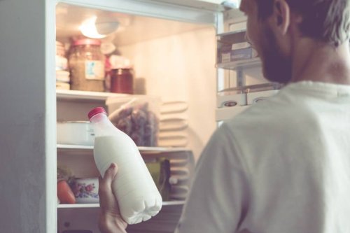 Milch richtig lagern: Warum sie nicht in der Kühlschranktür stehen sollte - FIT FOR FUN