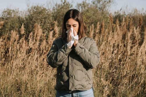 Pollen in der Luft: Welche Lebensmittel Heuschnupfen verschlimmern - FIT FOR FUN