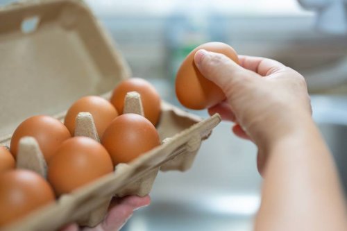 Richtige Lagerung: Mit diesem Trick sind gekochte Eier länger haltbar - FIT FOR FUN