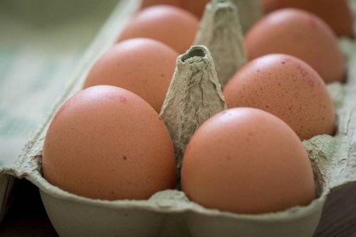 Richtige Aufbewahrung: Mit diesem Trick sind gekochte Eier länger haltbar - FIT FOR FUN