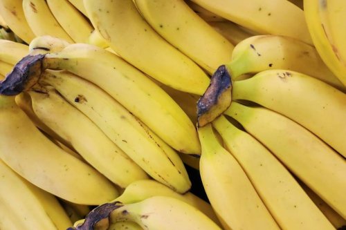 Neue Studie Superfood Banane: So senkst du deinen Blutdruck – ganz ohne salzarme Diät
