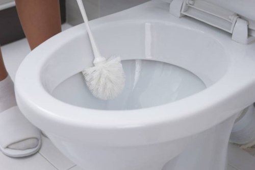Hygiene im Bad: So oft sollte man die Klobürste wirklich wechseln
