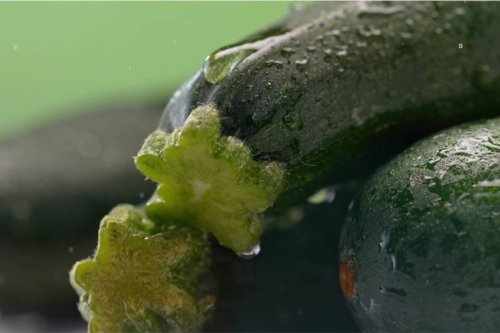 Achtung bei Gemüse aus dem Garten! Frau isst Zucchini – und vergiftet sich fast tödlich - FIT FOR FUN