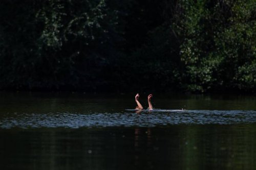 See, Meer, Fluss So vermeidest du die häufigsten Badeunfälle