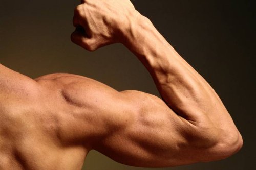 Fitnessstudio: So verbesserst du deine Trainingsroutine
