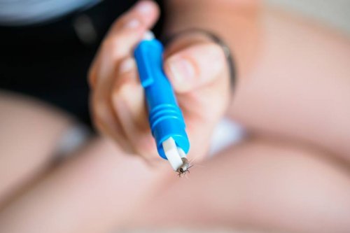 Achtung: Welche Fehler du beim Zecken-Entfernen nicht machen darfst