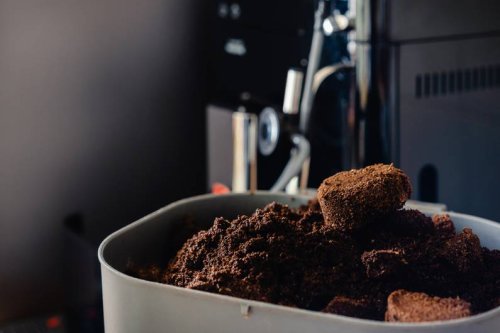 Nicht wegschmeißen: Ein Hausmittel hält Mücken und Wespen fern