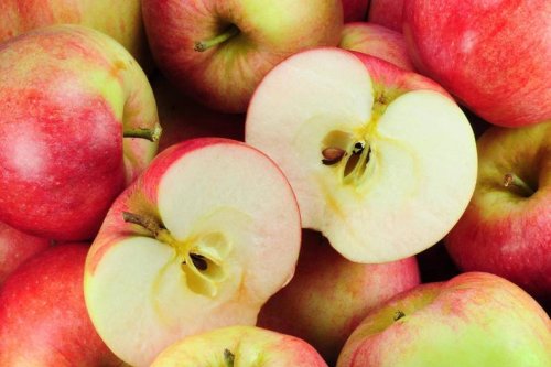 Apfelmark selber machen: Anleitung mit zwei Zutaten