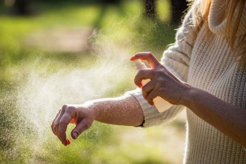 Lästige Mücken loswerden: So machst du ein Anti-Mückenspray – in nur 30 Sekunden - FIT FOR FUN