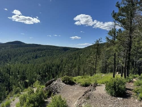 Ultimate Guide to Horseback Riding near Whitefish, Montana