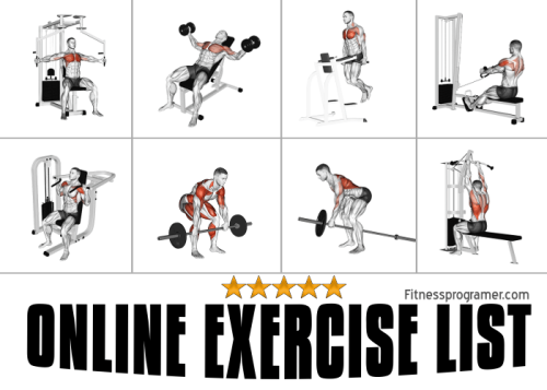 Online Exercise | Exercise List | Online Workout Builder