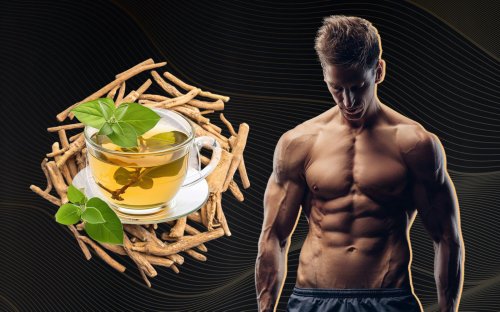 I Replaced My Evening Snack with This Specific Herbal Tea for 14 Nights – The Sleep & Recovery Boost Was Real