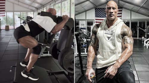 Celebrity Workouts - cover