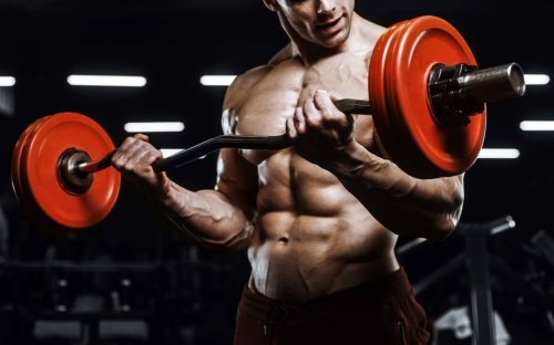 Progressive Overload: The Science Behind Maximizing Muscle Growth ...