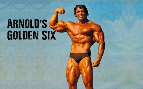 Ready for Old-School Gains? Try Arnold’s “Golden Six” Routine