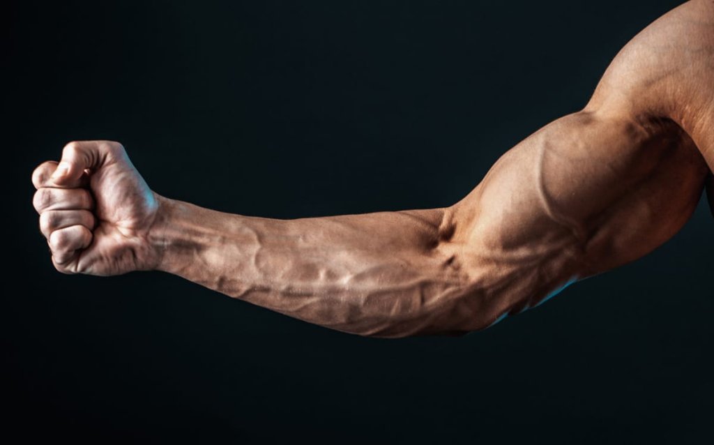 At-Home Workouts And Exercises - cover