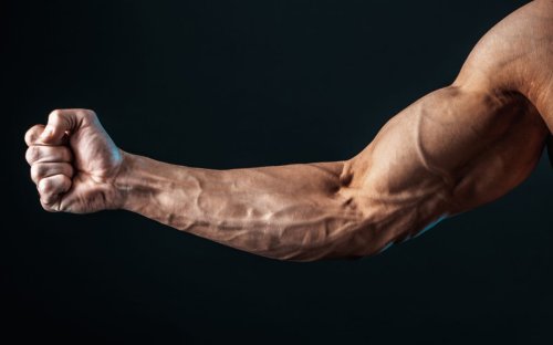 Forging Mighty Forearms at Home: A No-Equipment Training Guide
