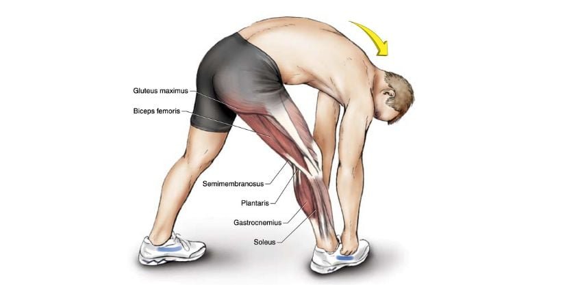 5 Best Hamstring Stretches To Relieve Pain, Prevent Injury, and More, Says a PT