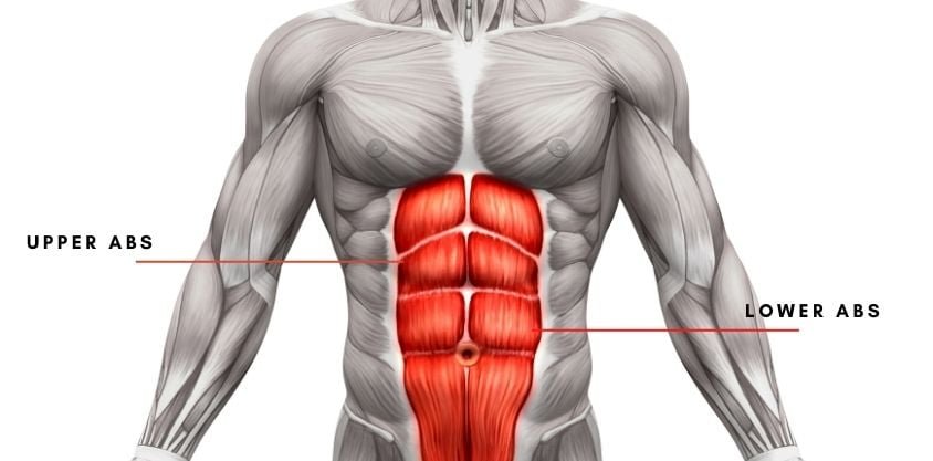 The 5 Best Exercises to Target Your Upper and Lower Abs