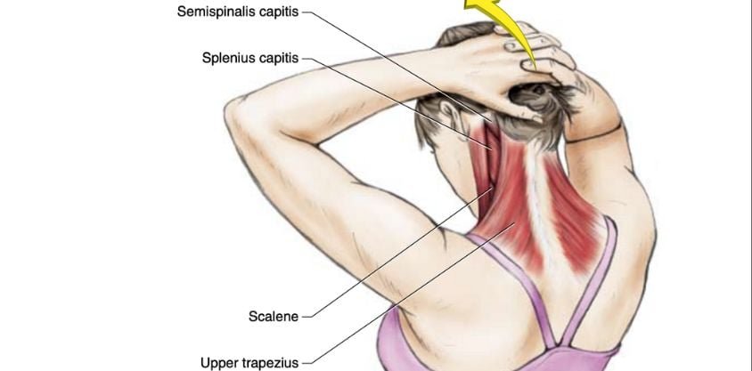 5 Stretches To Relieve a Stiff Neck, Tight Shoulders, and Upper Back Pain