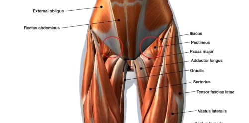 The 8 Best Stretches To Relieve Tight Hips and Hamstrings