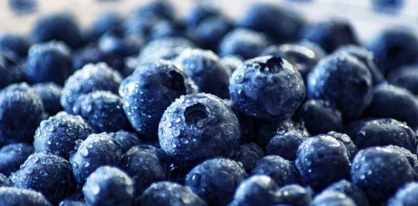 this-is-what-happens-when-you-eat-blueberries-every-day-flipboard