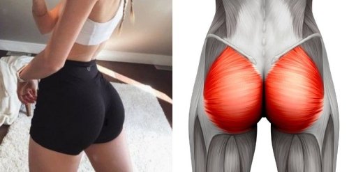 How to Get Stronger and Rounder Glutes: The Only 3 Exercises You Need