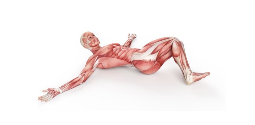 Over 60? Doing These Stretches Will Help Safeguard Your Hips and Back