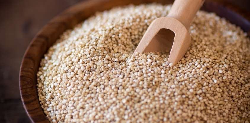 Is Quinoa Gluten-Free? Is Quinoa Safe for Gluten-Free Diet?