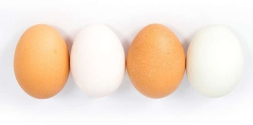 Brown Eggs vs. White Eggs: Which Eggs Are Healthier for You?