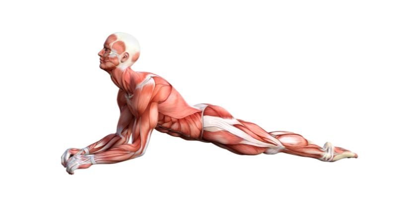 Want to Age Well? Do This Simple Stretch Regularly To Improve Spinal Mobility and Prevent Back Pain