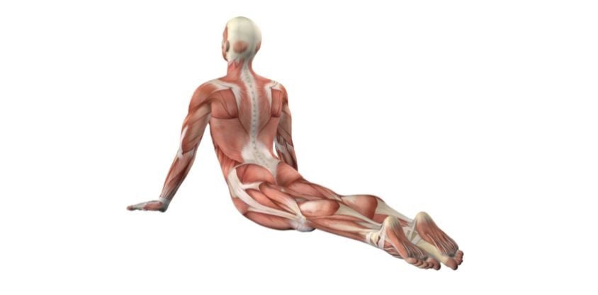 Bye-Bye Back Pain: 4 Daily Stretching Exercises You Need for Fast Relief 
