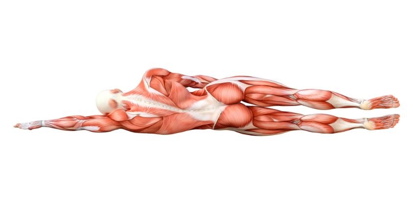 5 Best Exercises To Bulletproof Your Shoulders and Improve Range of Motion, Says a PT
