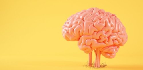 Mind Diet: Simple Diet Tweaks That’ll Slash Your Alzheimer’s Risk