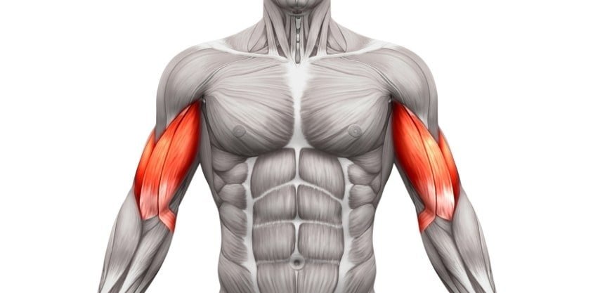 The One Arm Exercise You Should Be Doing to Grow Big Biceps