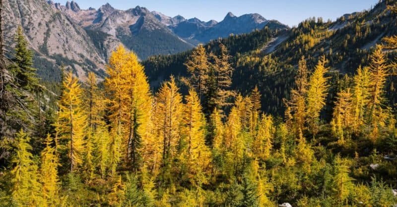 Washington Wonders: Must-See Destinations in the Evergreen State - cover