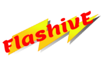 FlashzinE cover image
