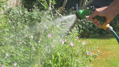 Hosepipe ban begins in parts of England amid drought warning