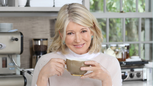 Shop Martha Stewart's stylish day bed - it's on sale for under $500