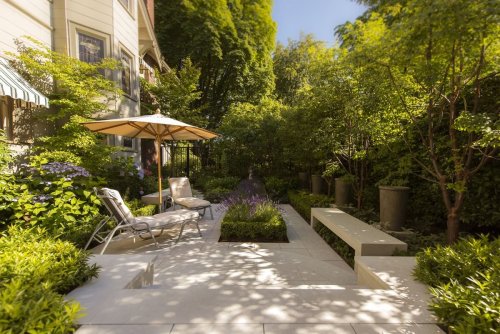 Essential Privacy Tips for Your Backyard You Need to Know