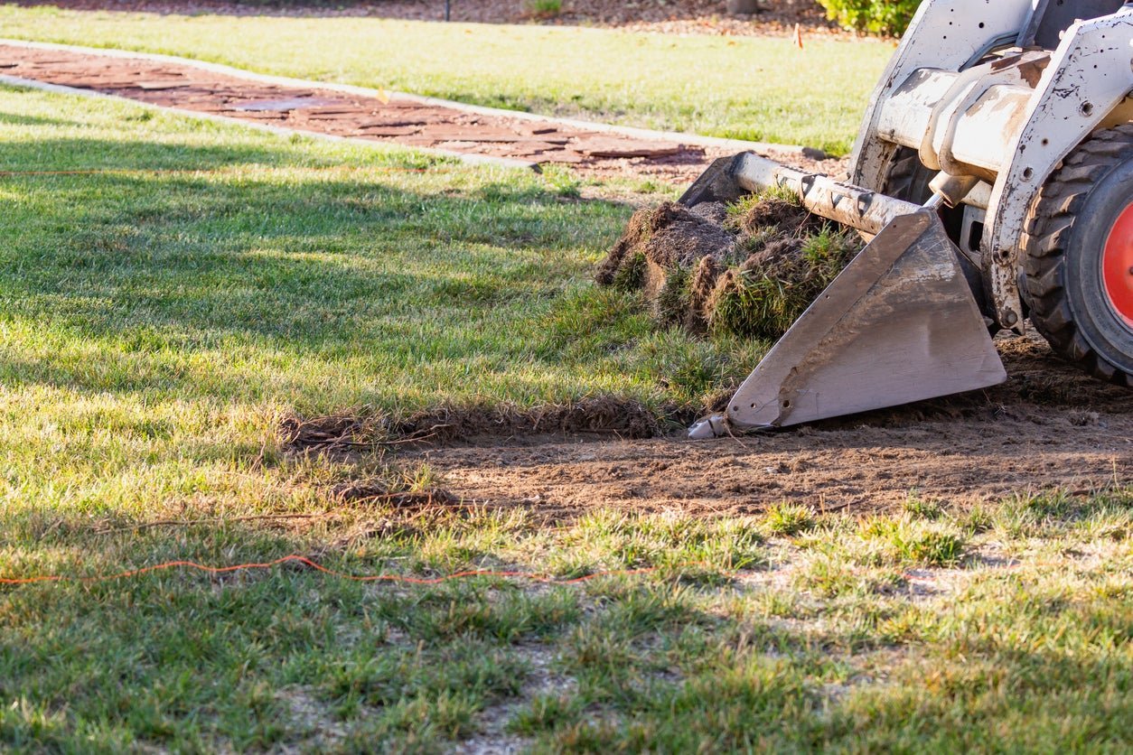 Lawn Alternatives for Ditching Grass—and Why You Should