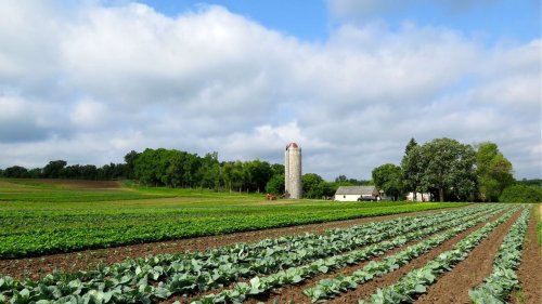 This farm in Minnesota is the first of its kind