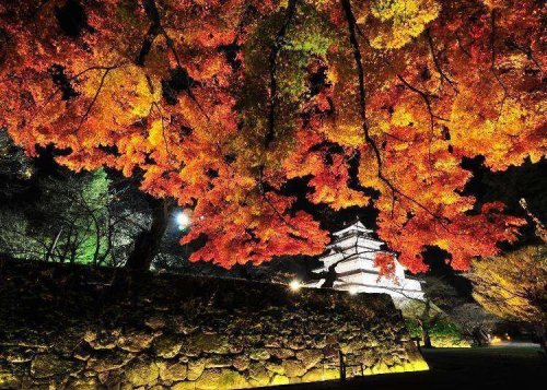 Why Northern Japan Might Just Have the Best Leaf Viewing