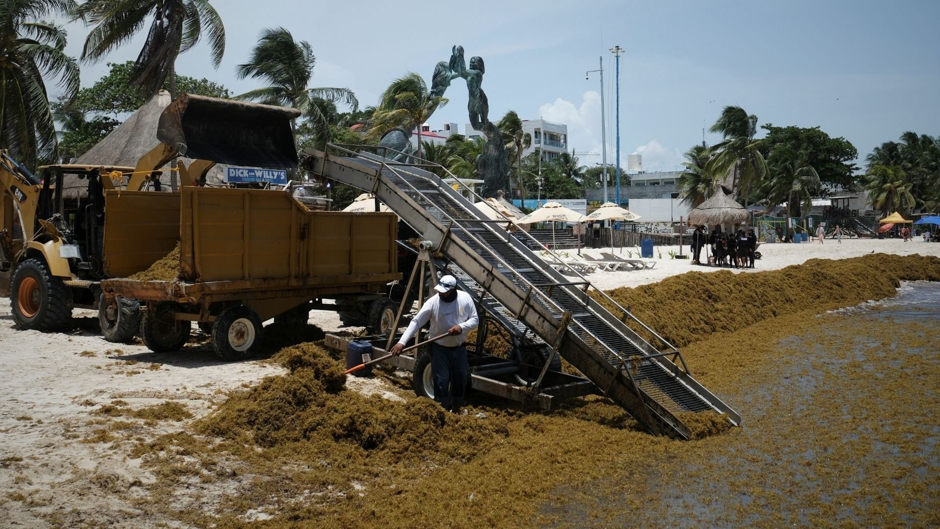 Mexico’s Caribbean Coast Battles Growing Sargassum Invasion