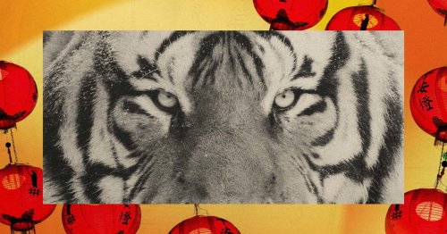 Lunar New Year 2022: The Year of the Tiger explained