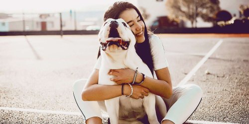 These Are the Dog Breeds Most Compatible With Your Zodiac Sign