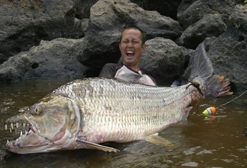 These are the nastiest and hardest fish to catch on the planet