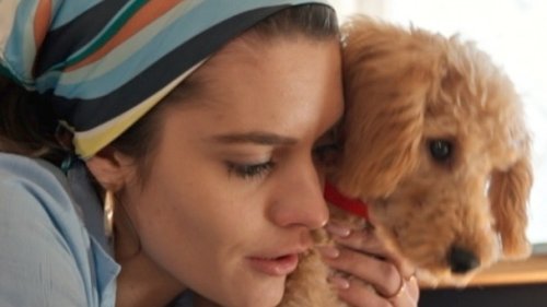 More and More, Pets Are Being Treated Like Children by Their Loving Owners