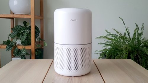 Everything you need to know before buying an air purifier