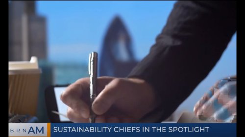 BRN AM | Sustainability chiefs in the spotlight